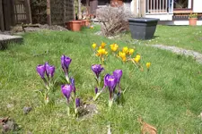 20100328140553.webp