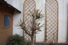 20100328140617.webp