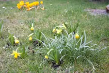 20100328140712.webp