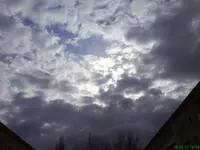 DSC01845 [640x480].webp