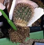 pflege_28.webp