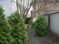 vorne.webp