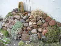 Steingarten.webp