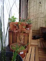 balkon_neu 008.webp