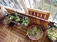 balkon_neu 013.webp