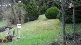 013.webp