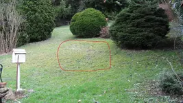 014.webp