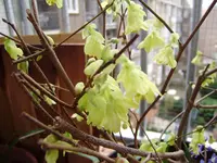 balkon_neu 027.webp