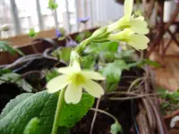 balkon_neu 024.webp