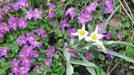 010.webp