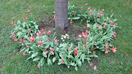 016.webp