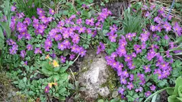 022.webp