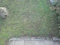 DSC04305.webp