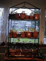 Gartenkinderstube3.webp