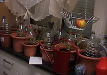 Gartenkinderstube1.webp