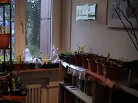 Gartenkinderstube2.webp