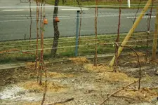 25.3.10 Abends (9) (Kopie).webp
