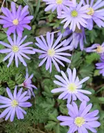 IMG_8203.webp