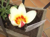002.webp