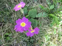 IMG_0557.webp