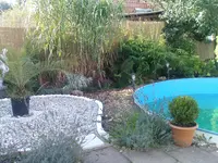 Garten2008 024.webp