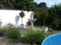 DSC00038.webp