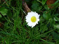 P1010343.webp