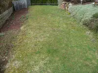 P1050783.webp