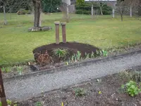 Garten 30.3. 014.webp
