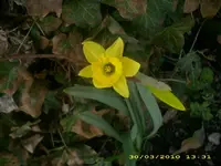 19372.webp