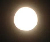 DSC_4568.webp