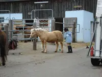 Kiki Kl.webp