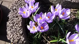K800_Frühling 026.webp