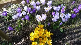 K800_Frühling 028.webp