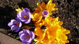 K800_Frühling 031.webp