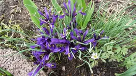 K800_Frühling 033.webp