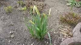 K800_Frühling 034.webp