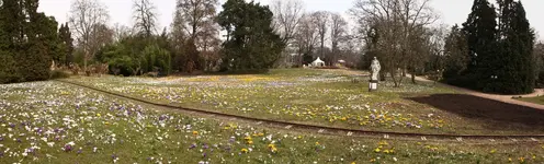 Panoramabild 14(1).webp