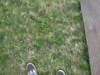 SDC11745.webp