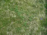SDC11746.webp