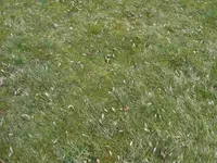 SDC11747.webp
