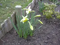 31.3.2010 019.webp