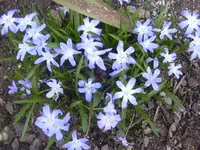31.3.2010 023.webp