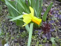 31.3.2010 025.webp