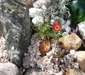 P1100493_600_532.webp