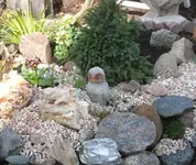 P1100487_600_508.webp
