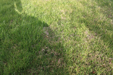 IMG_1664.webp