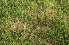 IMG_1666.webp