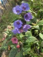 HPIM4136.webp