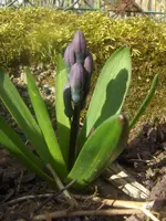 HPIM4135.webp
